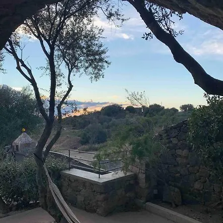 Magnifique Avec Piscines Et Cuisine D'ete Corbara
